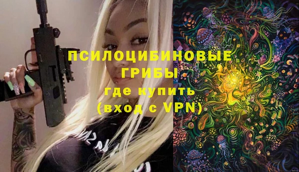 дурь Арсеньев
